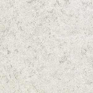 1669094341183712.jpg TS2339.jpg