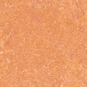 1669094358202950.jpg TS2342.jpg