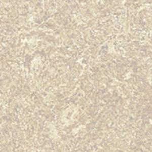 1669094363124204.jpg TS2343.jpg