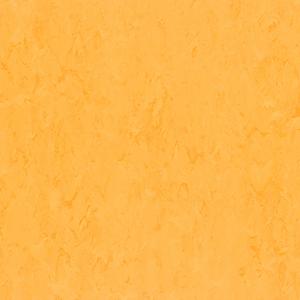 1669097875643389.jpg FPT2025.jpg