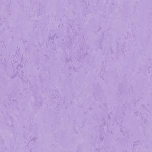 1669097903714363.jpg FPT2037.jpg