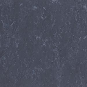 1669097931299170.jpg FPT2040.jpg