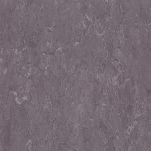 1669097966361346.jpg FPT2063.jpg