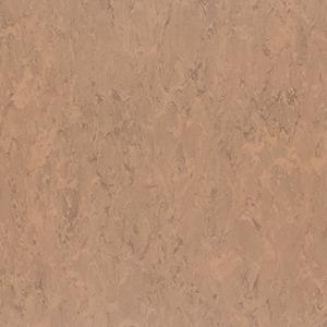 1669097971180689.jpg FPT2065.jpg